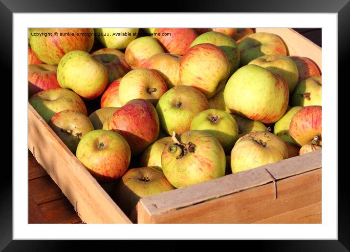 Crate of apples Framed Mounted Print by aurélie le moigne