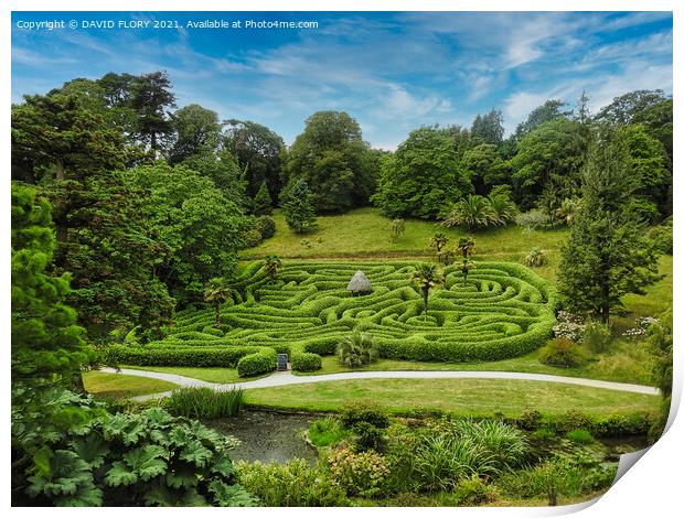 A-mazing Glendurgan Print by DAVID FLORY