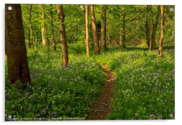 Spring Woodland Walk Acrylic by Martyn Arnold