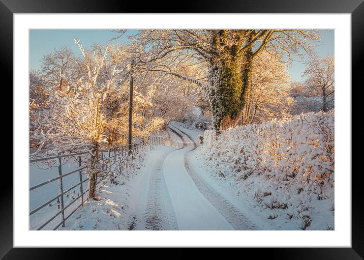Winter sunlight Framed Mounted Print by Clive Ashton