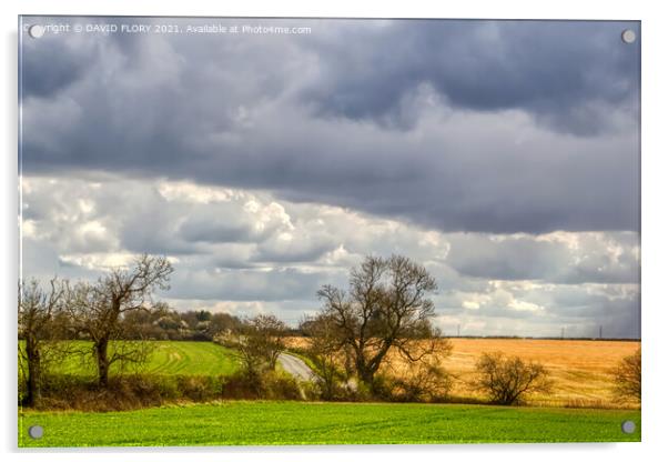 Suffolk Skies Acrylic by DAVID FLORY
