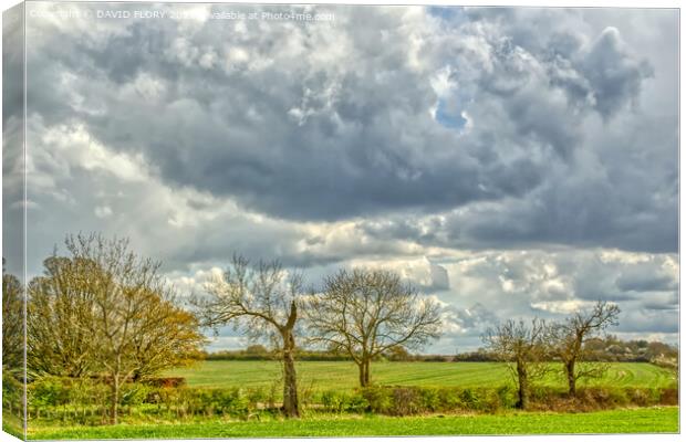 Suffolk Skies Canvas Print by DAVID FLORY