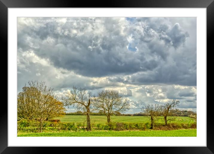 Suffolk Skies Framed Mounted Print by DAVID FLORY