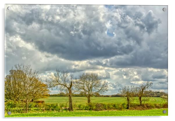 Suffolk Skies Acrylic by DAVID FLORY