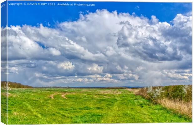 Mostly Cloudy Canvas Print by DAVID FLORY