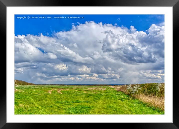 Mostly Cloudy Framed Mounted Print by DAVID FLORY