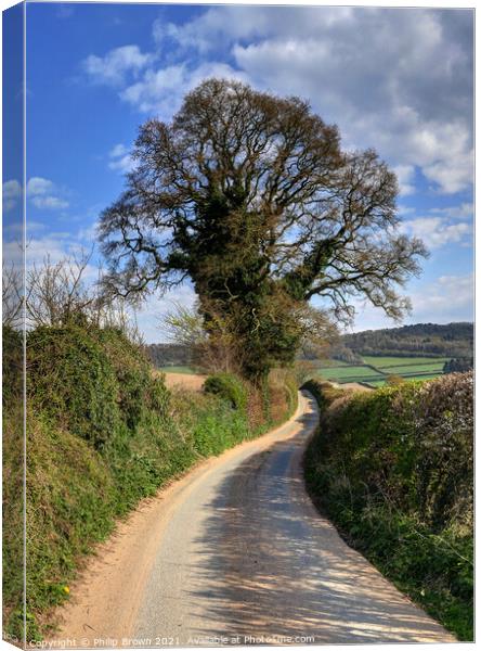 English country lane with large Tree in Wig Wig Shropshire Canvas Print by Philip Brown