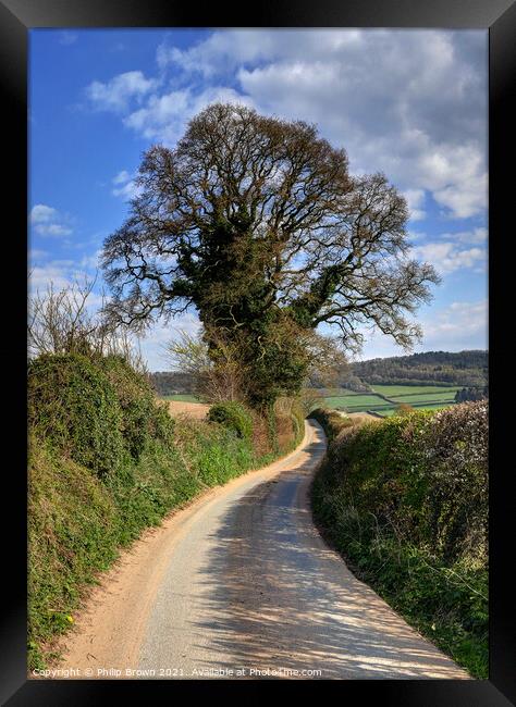 English country lane with large Tree in Wig Wig Shropshire Framed Print by Philip Brown