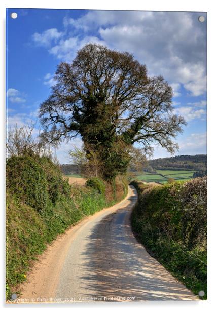 English country lane with large Tree in Wig Wig Shropshire Acrylic by Philip Brown