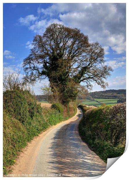 English country lane with large Tree in Wig Wig Shropshire Print by Philip Brown