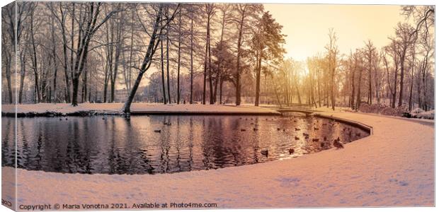 Snowy park at sunset Canvas Print by Maria Vonotna