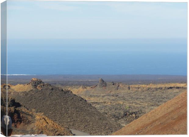 Lanzarote Desert  Canvas Print by John Bridge