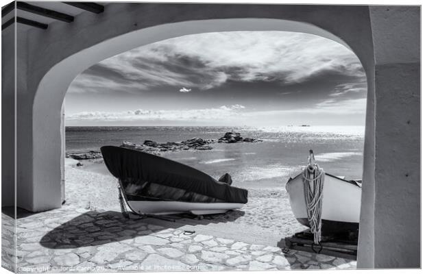 Window to the Sea - CR2103-4850-BW Canvas Print by Jordi Carrio
