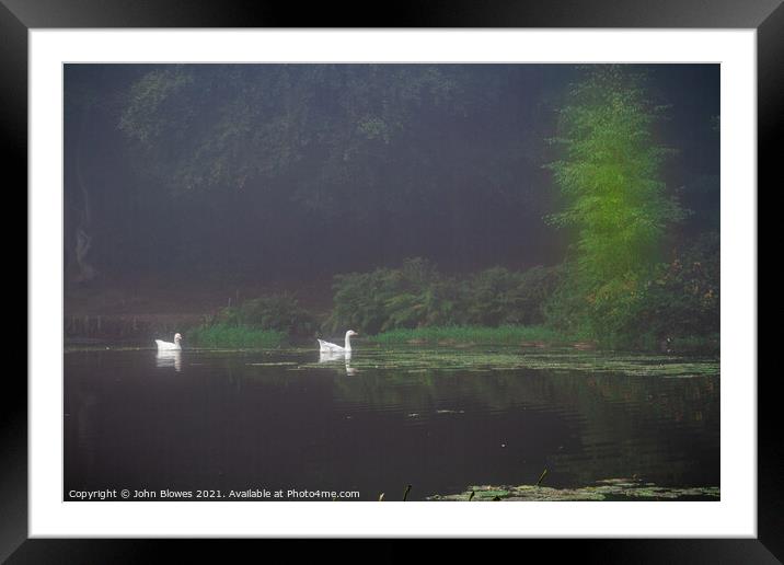 Early morning on Keston Ponds (near Bromley Kent)  Framed Mounted Print by johnseanphotography 