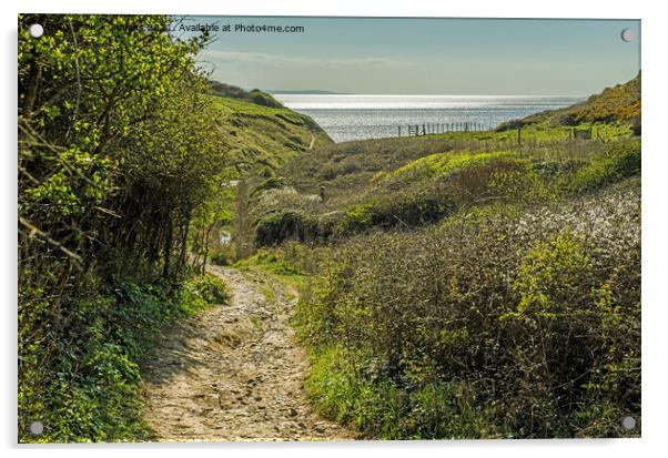 View towards the sea at Monknash Glamorgan Coast Acrylic by Nick Jenkins