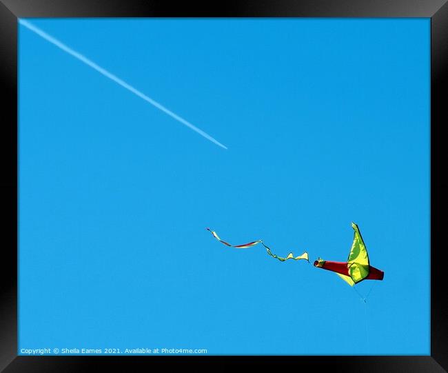 Let's Go Fly a Kite Framed Print by Sheila Eames