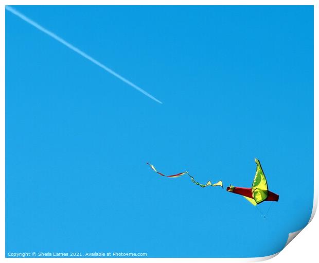 Let's Go Fly a Kite Print by Sheila Eames