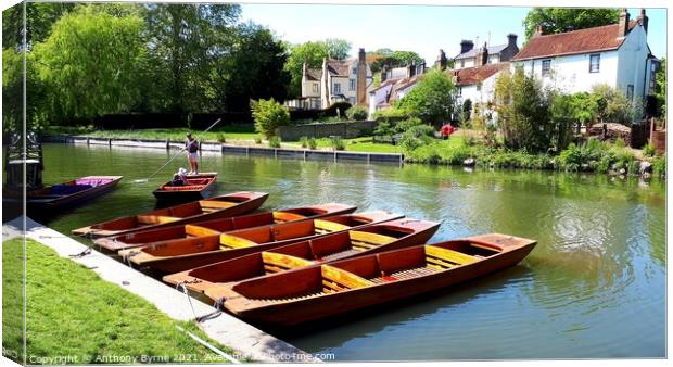 Cambridge Punts  Canvas Print by Anthony Byrne