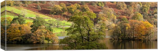 Rydal water in autmn lake district Canvas Print by Sonny Ryse