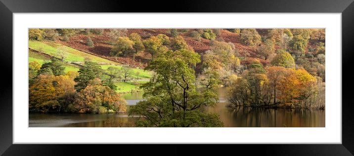 Rydal water in autmn lake district Framed Mounted Print by Sonny Ryse