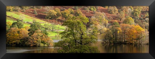 Rydal water in autmn lake district Framed Print by Sonny Ryse