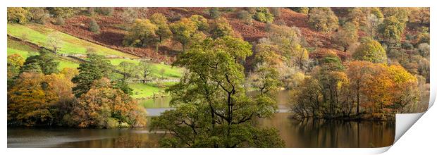 Rydal water in autmn lake district Print by Sonny Ryse