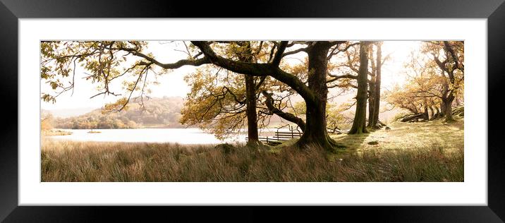 Rydal Water in autumn in the lake district Framed Mounted Print by Sonny Ryse