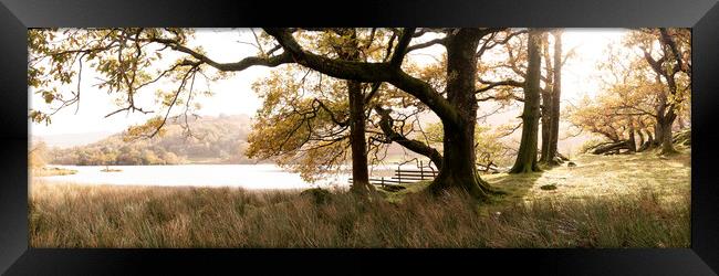 Rydal Water in autumn in the lake district Framed Print by Sonny Ryse