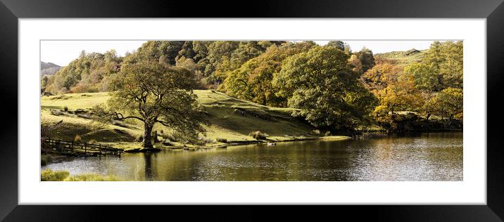 Loughrigg Tarn in Autumn Lake District Framed Mounted Print by Sonny Ryse