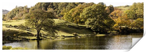 Loughrigg Tarn in Autumn Lake District Print by Sonny Ryse