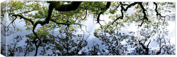 Oak Tree reflecting in a lake Canvas Print by Sonny Ryse