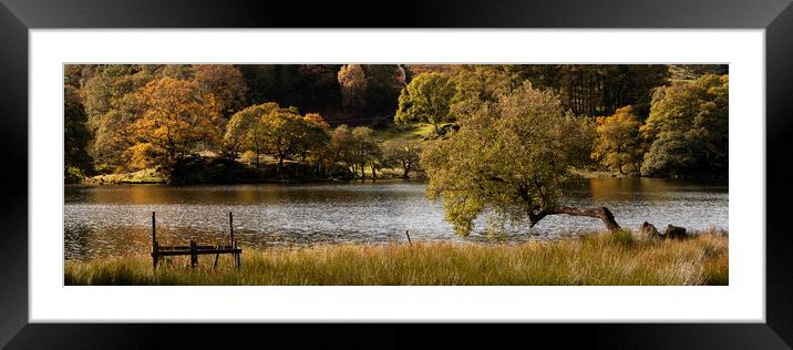 Loughrigg Tarn in Autumn Lake District Framed Mounted Print by Sonny Ryse