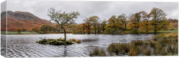 Rydal water in Autumn the lake district Canvas Print by Sonny Ryse
