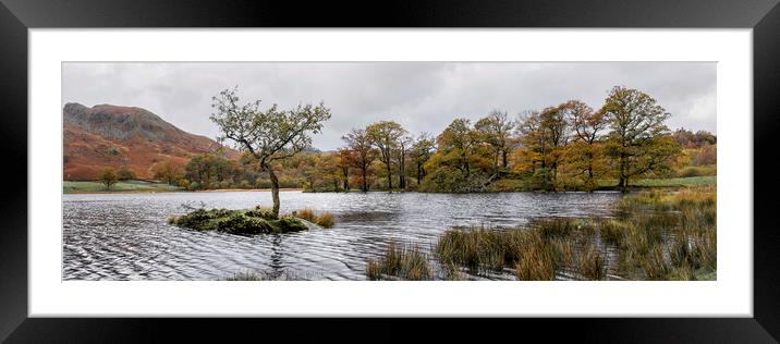 Rydal water in Autumn the lake district Framed Mounted Print by Sonny Ryse