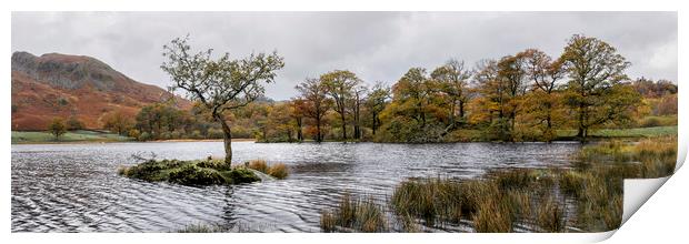 Rydal water in Autumn the lake district Print by Sonny Ryse