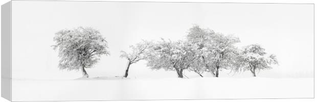 Abstract Trees covered in snow Canvas Print by Sonny Ryse