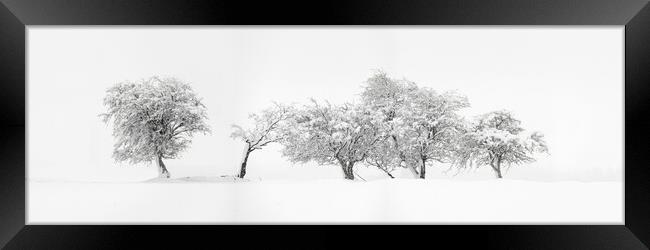 Abstract Trees covered in snow Framed Print by Sonny Ryse