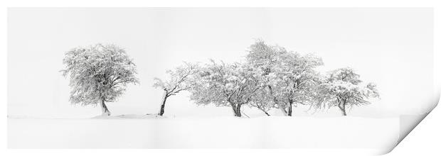 Abstract Trees covered in snow Print by Sonny Ryse