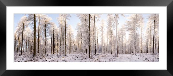 Alpine forest covered in snow in england Framed Mounted Print by Sonny Ryse