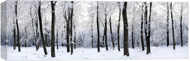English woodland covered in snow Canvas Print by Sonny Ryse