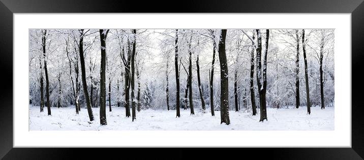 English woodland covered in snow Framed Mounted Print by Sonny Ryse