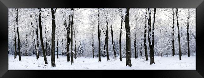 English woodland covered in snow Framed Print by Sonny Ryse