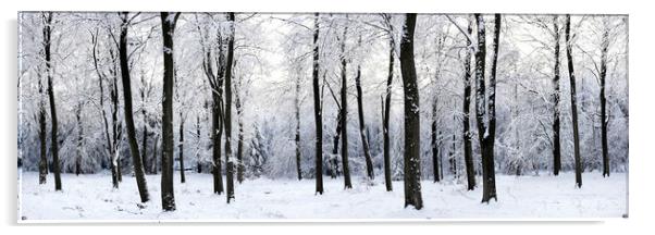 English woodland covered in snow Acrylic by Sonny Ryse
