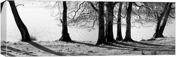 Esthwaite Water black and white Lake District 2 Canvas Print by Sonny Ryse