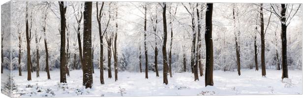 English woodland covered in snow North Yorkshire Canvas Print by Sonny Ryse
