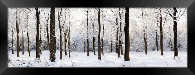 English woodland covered in snow North Yorkshire Framed Print by Sonny Ryse