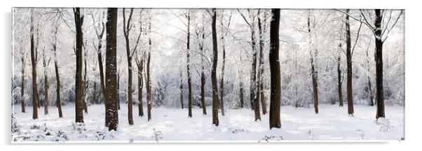 English woodland covered in snow North Yorkshire Acrylic by Sonny Ryse
