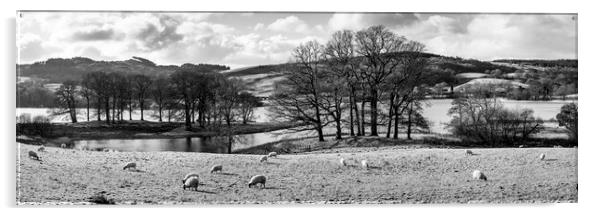 Esthwaite Water black and white Lake District Acrylic by Sonny Ryse