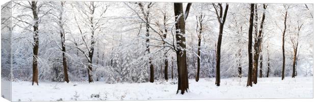 Fewston Forest in winter North Yorkshire Canvas Print by Sonny Ryse