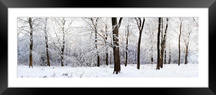 Fewston Forest in winter North Yorkshire Framed Mounted Print by Sonny Ryse